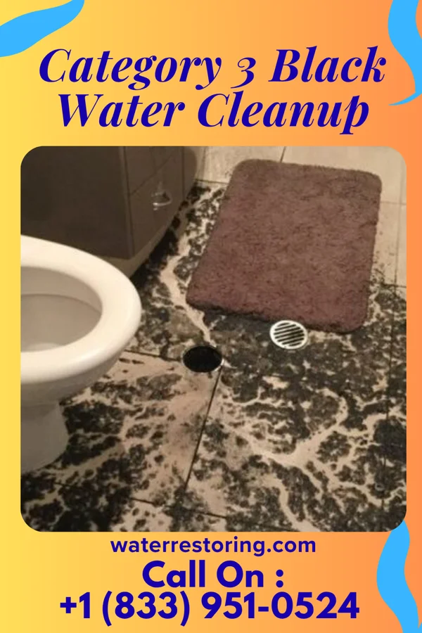 Category 3 Black Water Cleanup in South Uniontown, PA