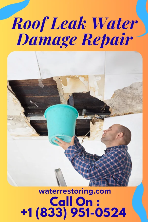 Roof Leak Water Damage Repair in South Uniontown, PA