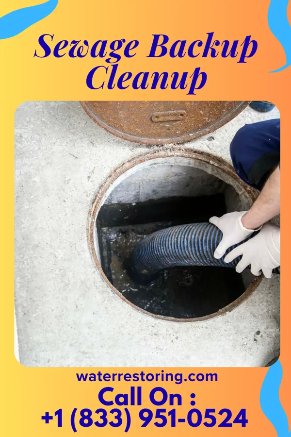 Sewage Backup Cleanup in South Uniontown, PA