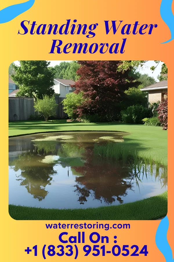 Standing Water Removal in South Uniontown, PA